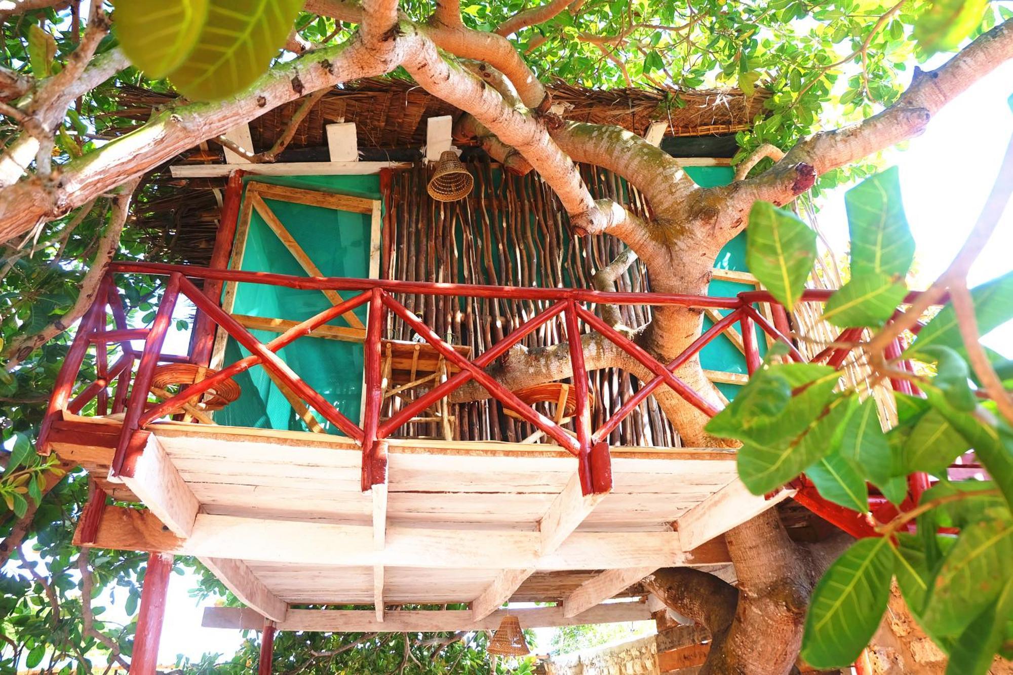 דיאני ביץ' Diani Hostel מראה חיצוני תמונה