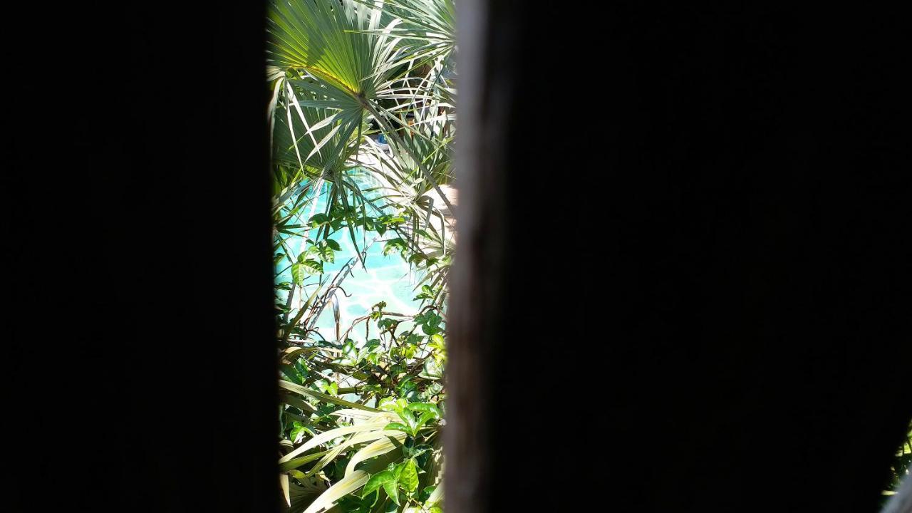 דיאני ביץ' Diani Hostel מראה חיצוני תמונה